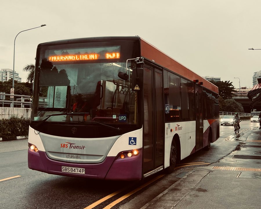 Busfahrer – Linienbus und Reisebus